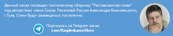 Telegram канал Александра Вишневецкого